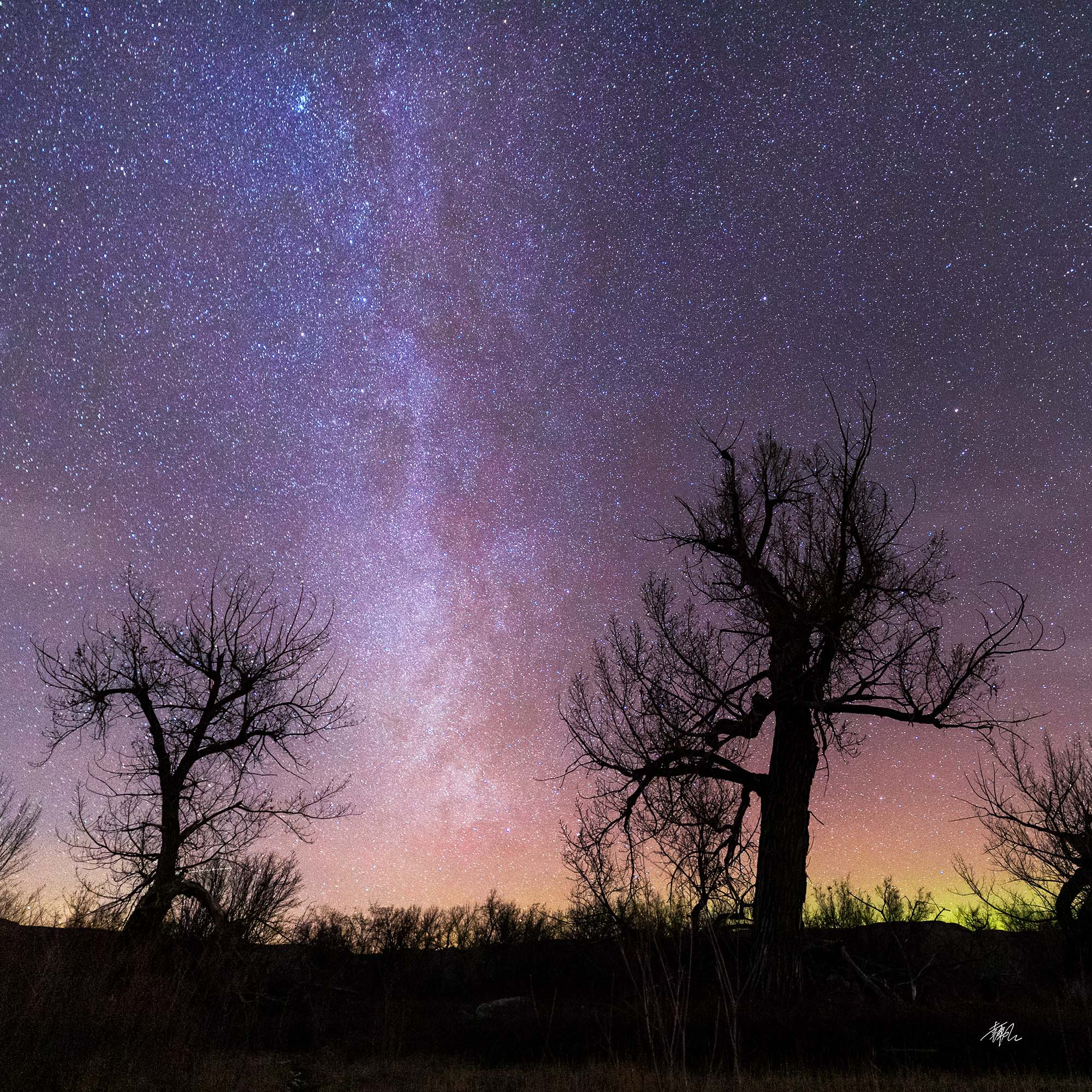 Starry Sky
