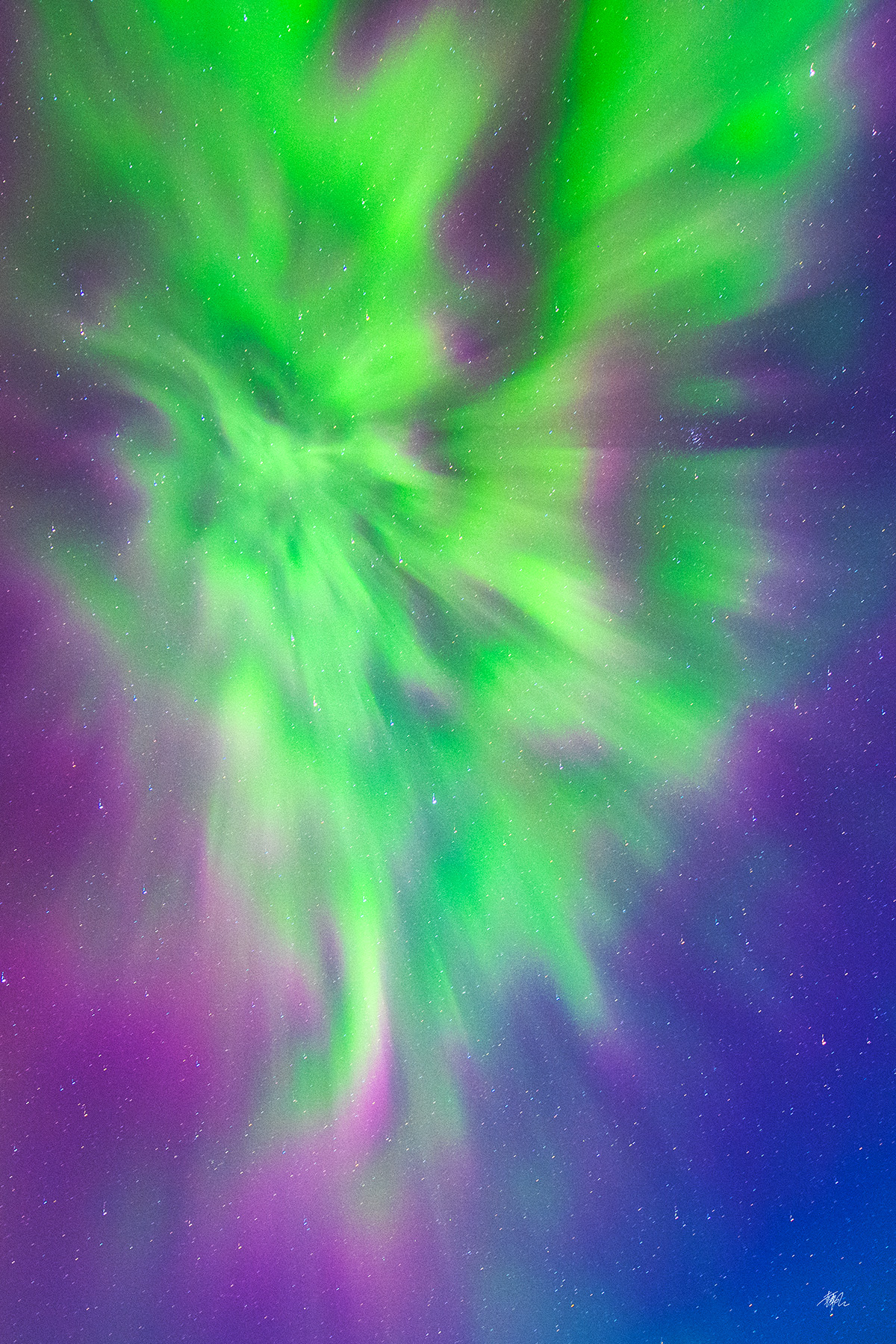 Northern Light